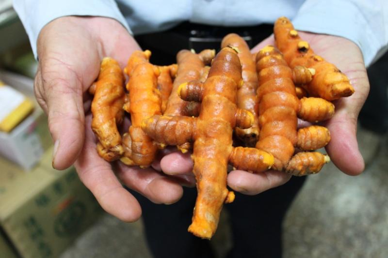 薑黃伯用心栽種培育的薑黃_卑南DOC-封面照