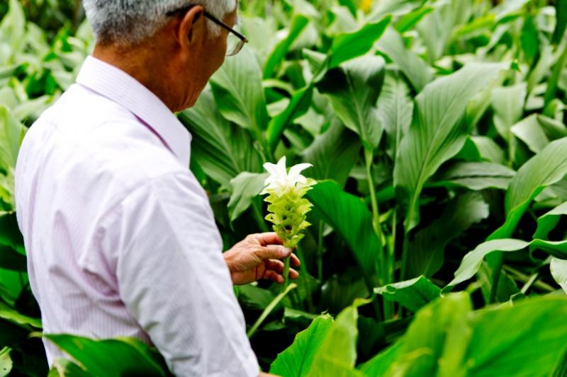 最佳職人代表-薑黃伯陳添麒_卑南DOC-封面照