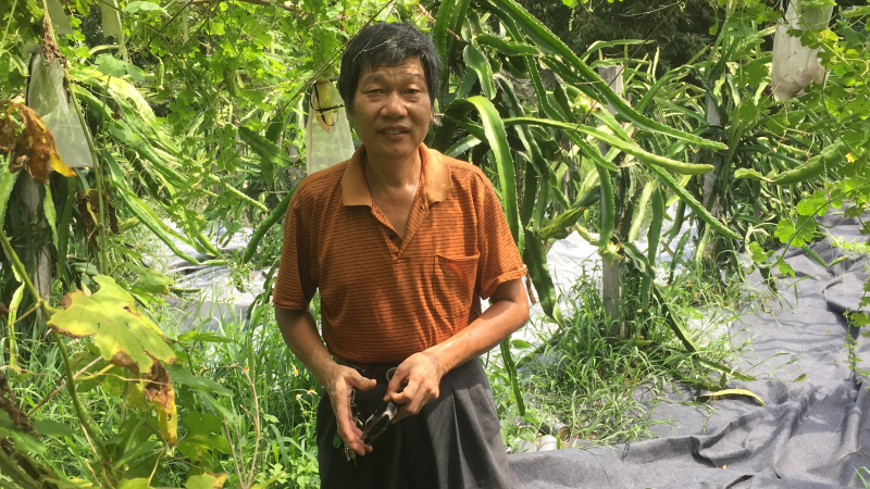 我的雙溪有機班-封面照