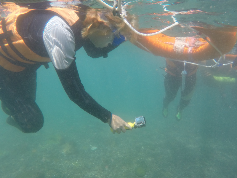 海底攝影初體驗-封面照