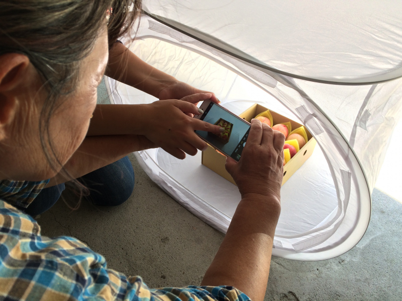 我的五月桃-封面照