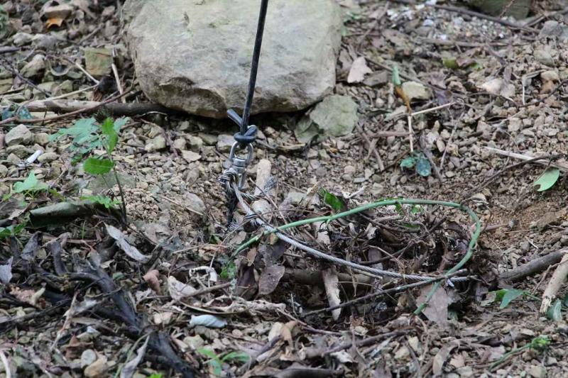 「生活智慧 設置陷阱」文化典藏-封面照