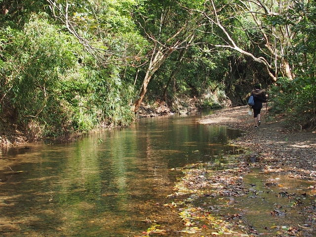 佳祿奶生態園區-封面照