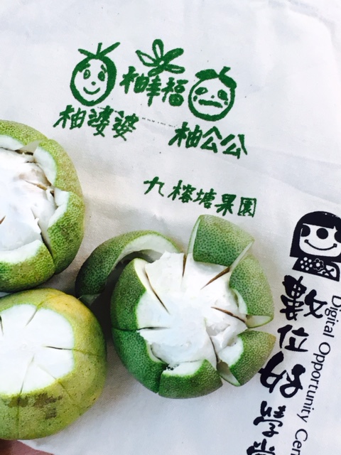 柚婆婆與柚公公-封面照