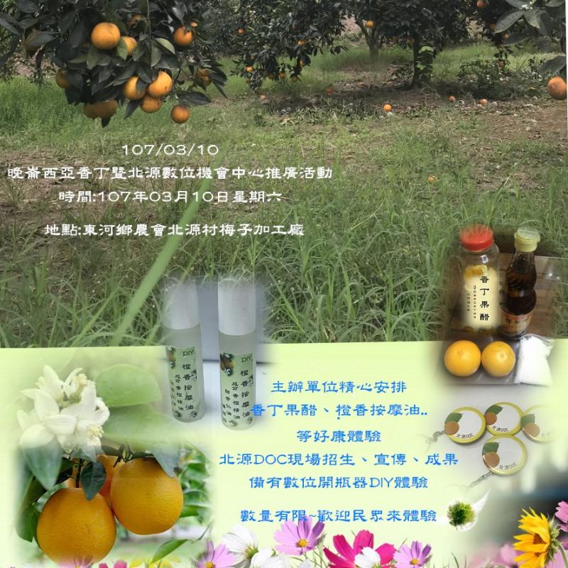 晚崙西亞香丁暨北源數位機會中心推廣活動海報-封面照