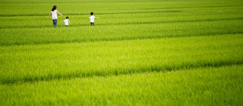 恭賀 後壁區 智遊自在，撩寮菁城伍  入圍 107年度中小企業數位關懷普及計畫 『中小企業數位群聚輔導』輔導案入選名單-封面照