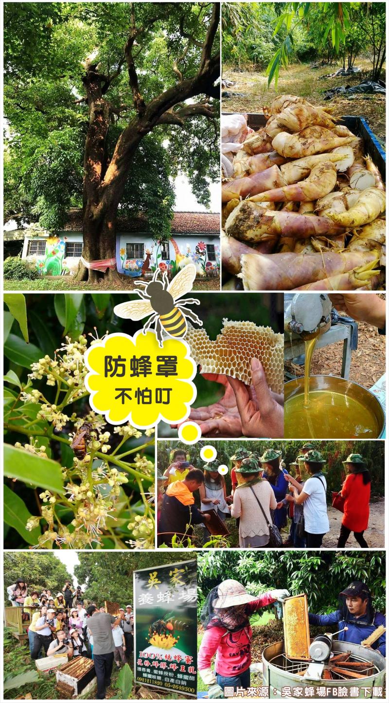 活動多多!快來參加!