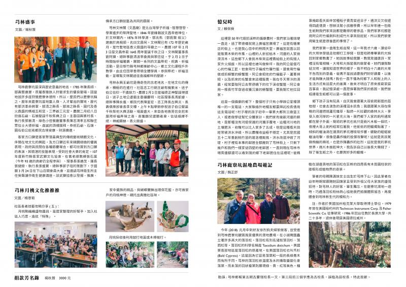 《九芎林打嘴鼓》鄉報第六期 背面