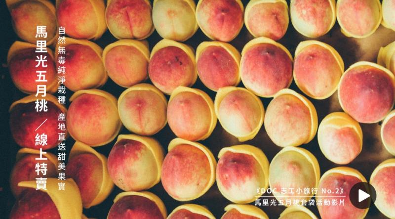 「馬里光五月桃」集團團購DM