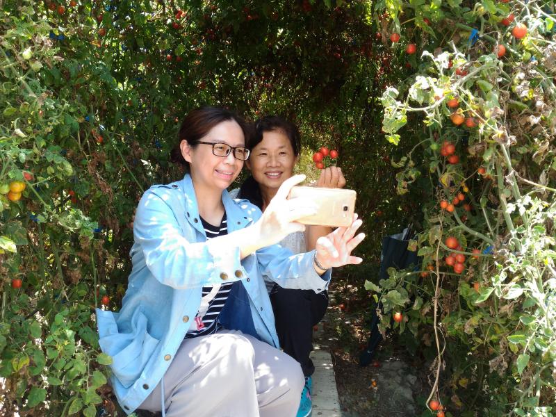 數位記錄-創意影片-封面照