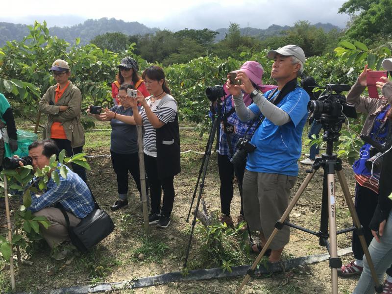 芭樂果園攝影-封面照