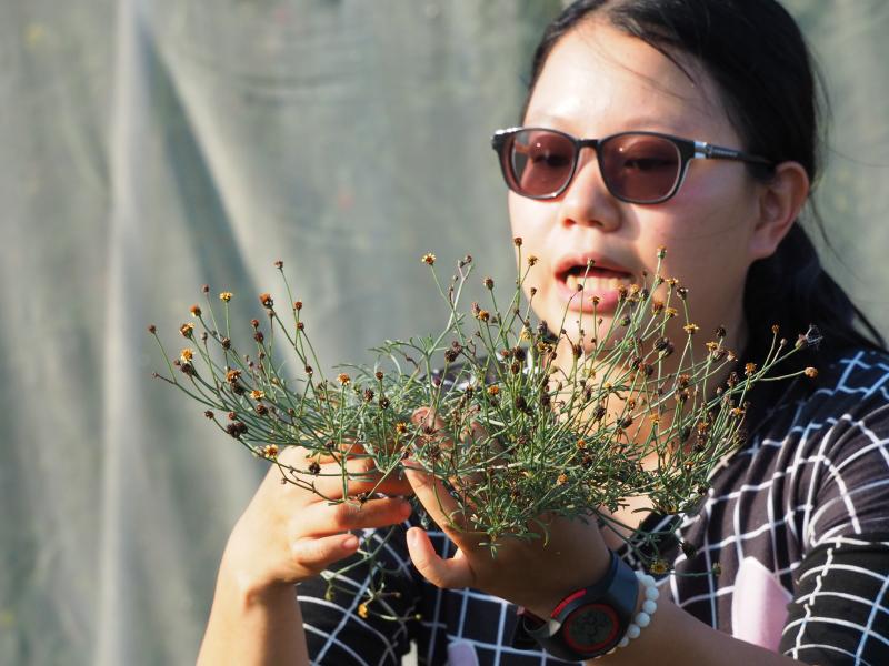 數位推手 力量無敵-封面照