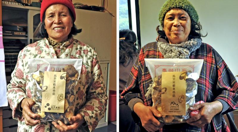 馬里光部落椴木香菇歡迎來買哦。