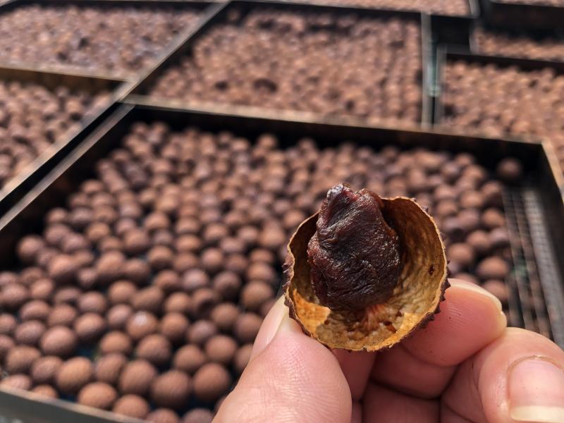 烘焙成品荔枝乾