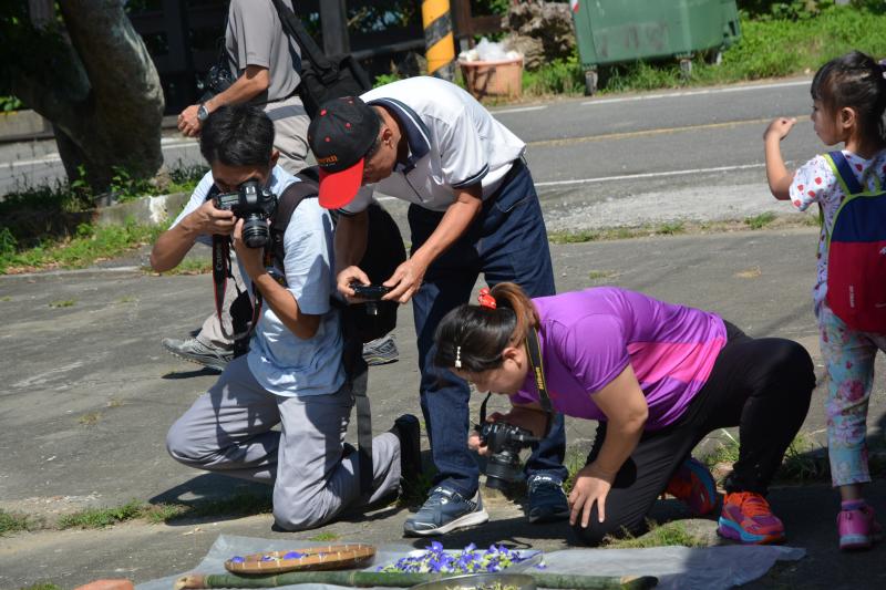 龍崎DOC數位相機班課程照片剪輯分享-封面照