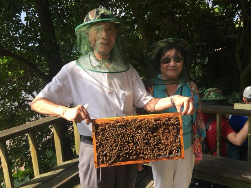 原來捕蜂人家是這樣的生活,好新奇啊!