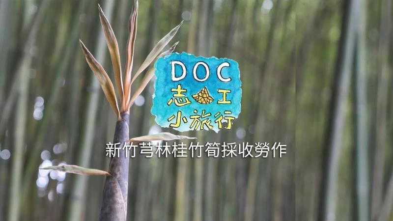 2018《DOC 志工小旅行》芎林桂竹筍採收勞作／明基友達基金會-封面照