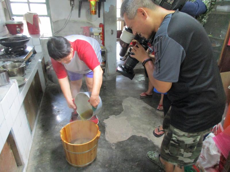 大風草煮成的開水可以去風邪避寒