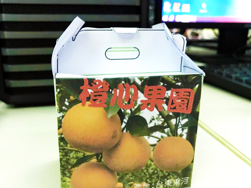 農產紙箱換裝秀-封面照