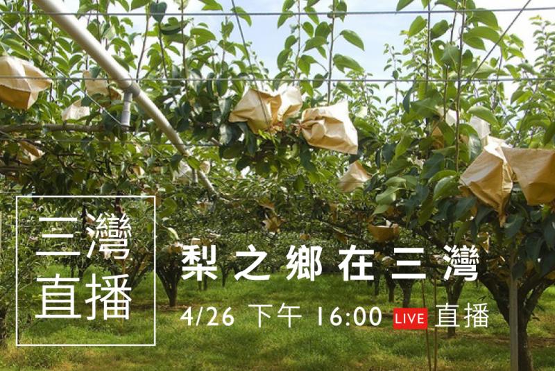 《竹苗直播線上看》梨之鄉在三灣直播影片-封面照