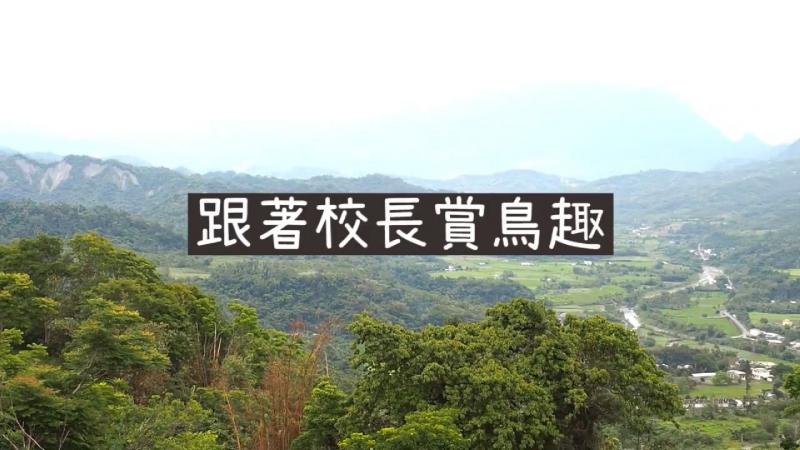 跟著校長賞鳥趣影片