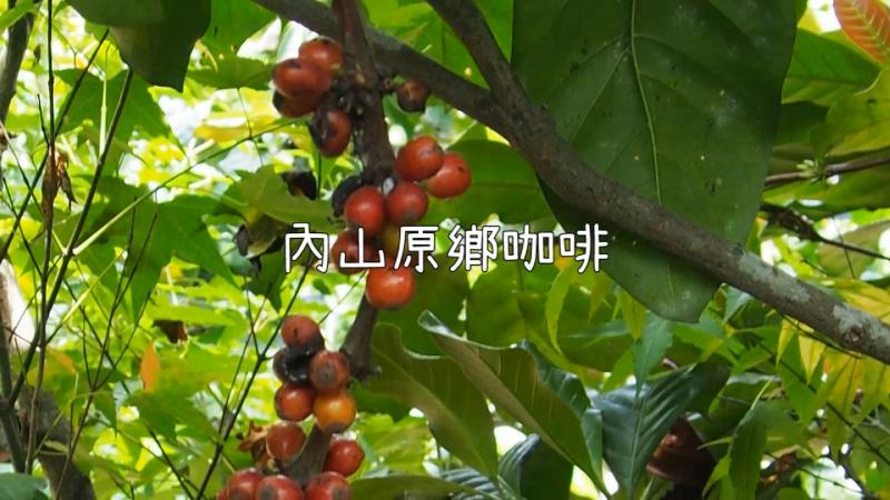 內山咖啡影片