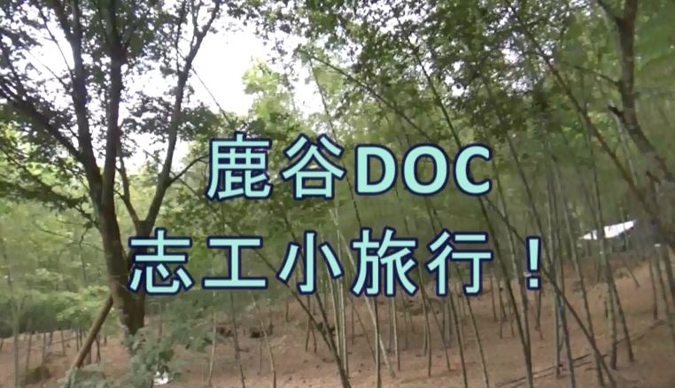 鹿谷DOC【小半天志工小旅行】！快來鹿谷小半天，玩大半天！-封面照