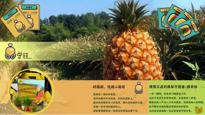 龍崎DOC協助地方產業發展『守旺鳳梨』開始接受預訂-封面照