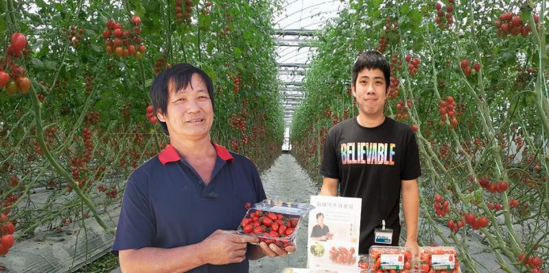 阿牛哥溫室蕃茄農場-封面照