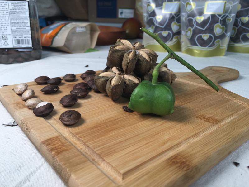 最佳攝影-影像拍攝-學員作品-封面照