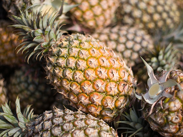 17吃旺來的鳳梨，大小適中，小家庭也很適合品嚐