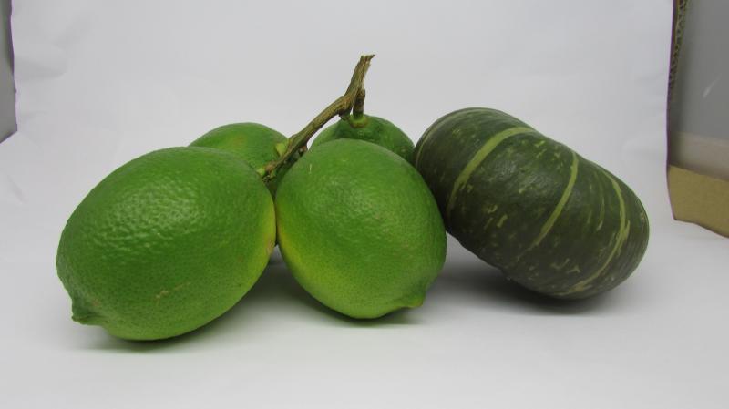 學員用自己做的小型攝影箱拍攝商品完成作品之一。