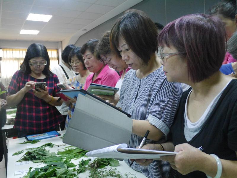 平板認植物　數位資訊搜尋土地味-封面照