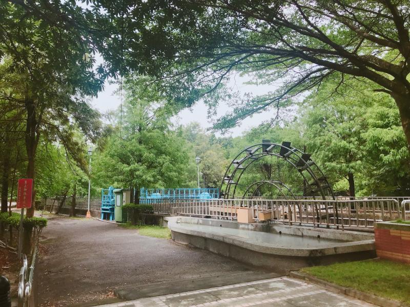 綠意盎然~長長的鄉間走道、高聳的樹木、走道旁的水車~攝影最佳場景