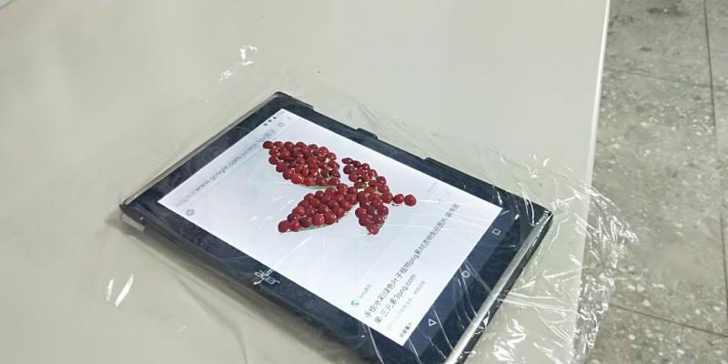 <p>富里DOC今年開設了「染出數位新活力」課程，透過平板電腦練習使用搜尋引擎及語音查詢功能，學員們找到自己喜歡的植物圖樣後，再透過螢幕上的圖樣，製作相思豆拼貼及陶板畫。</p>