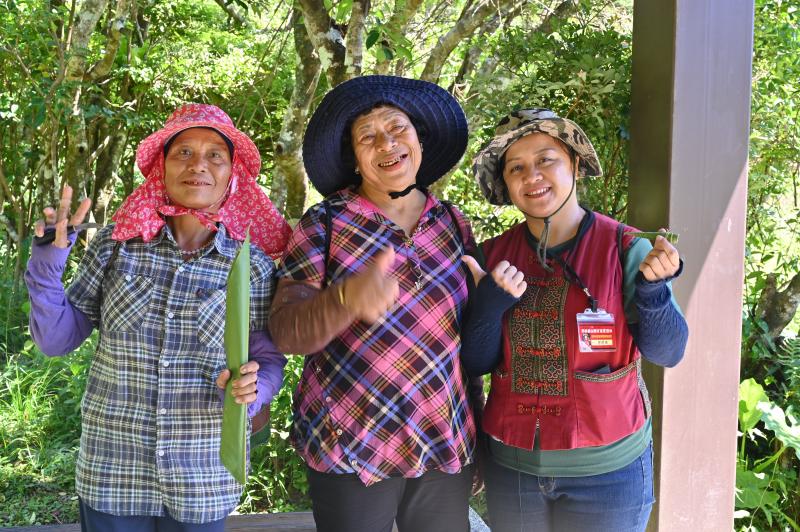 四林格山的美麗與神話 曾明珠 部落導覽員-封面照