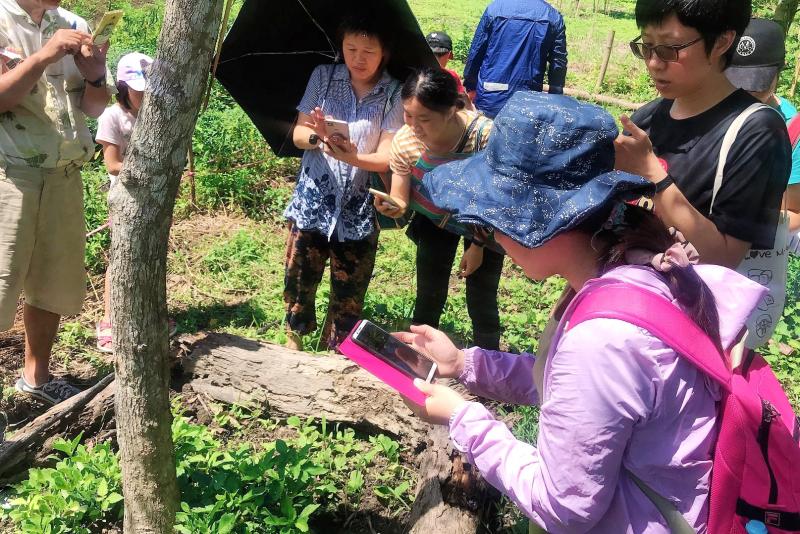 植物辨識APP-封面照