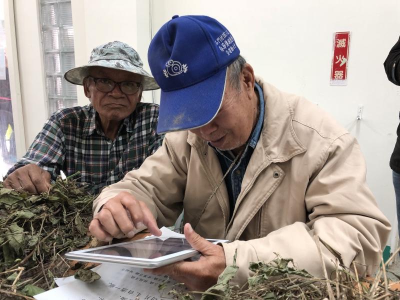 vuvu使用平板搜尋原住民圖騰