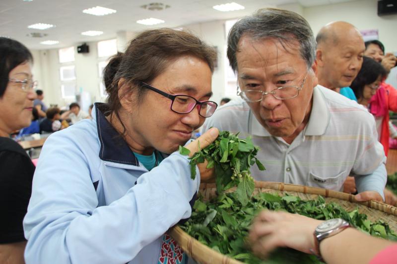 學員將採集回來的雜草剪成碎片狀,忍不住抓一把起來嗅聞,大呼:好棒的青草香!
