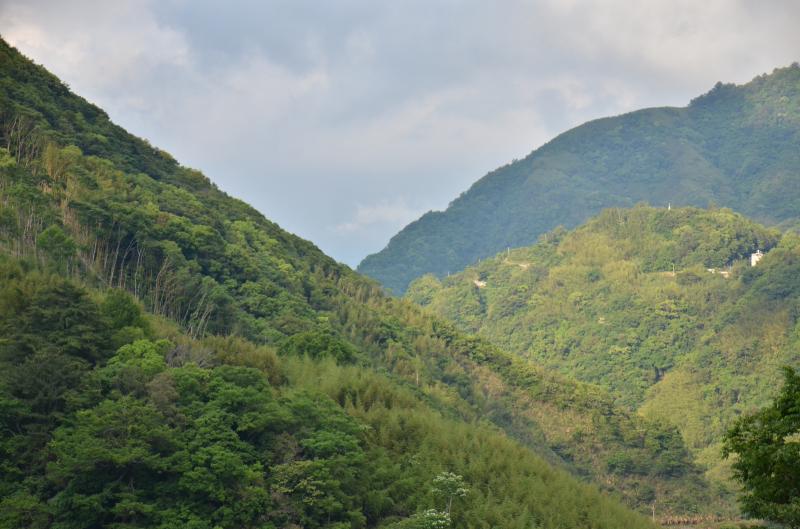 馬里光山風光景