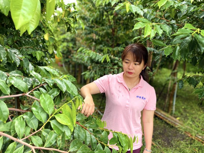 【北源】沉香園中的美景-封面照
