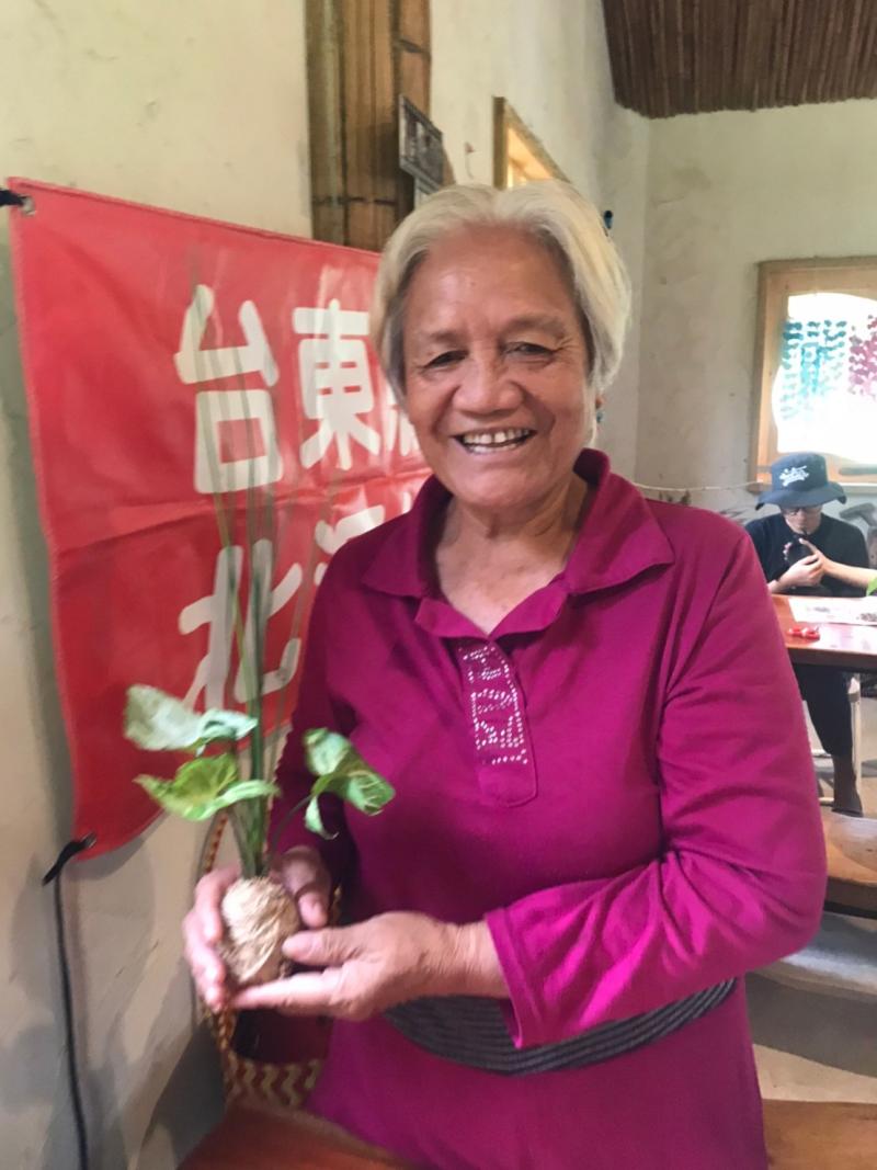 透過YOUTUBE還可以做水苔植物