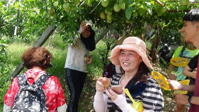 社區影像錄製課程,實地體驗農村種植百香果的生活