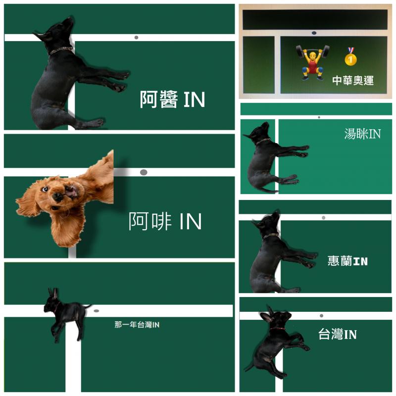 學員的IN壓線圖拼貼