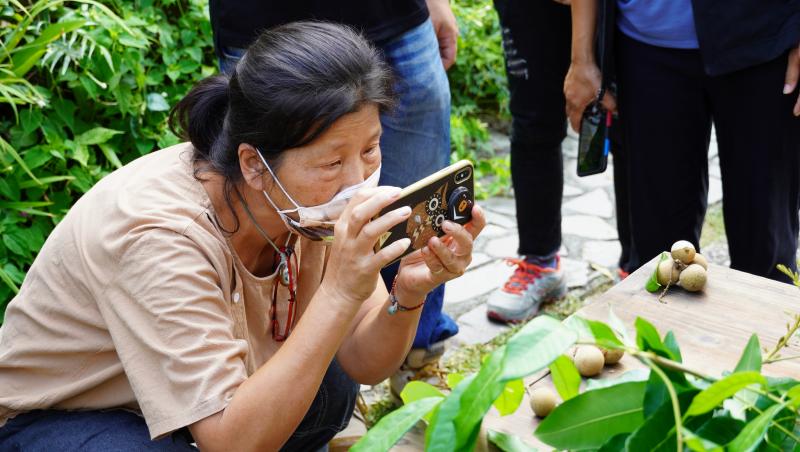 學員使用手機練習拍攝農產品照片