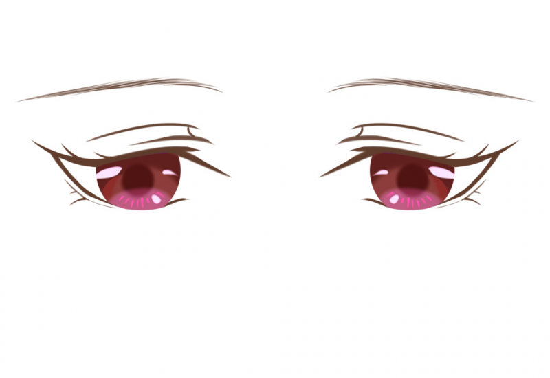 THE EYES