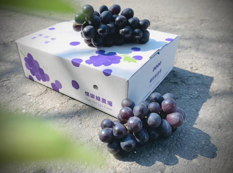 養生鮮果系列-豆漿葡萄