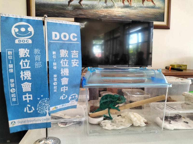 吉安DOC與變色龍