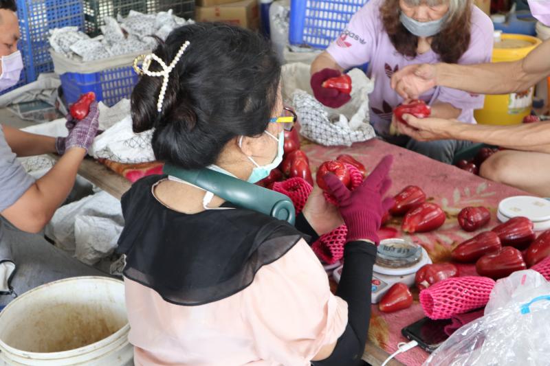 測量重量進行分類