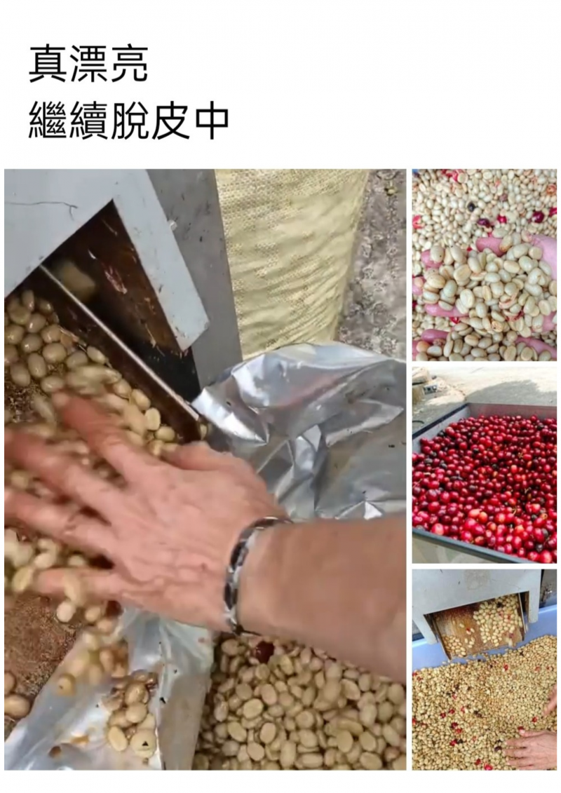 【甲仙DOC】265の茶間咖啡~更生小農夫開店囉!-封面照